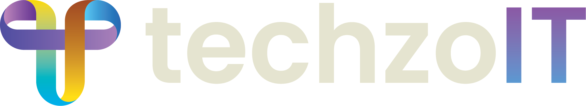 Techzo IT Logo